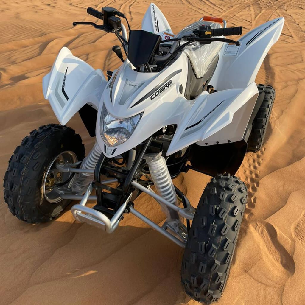 Quad Aeon Cobra 220 2021W 2 Quad Aeon Cobra 220 2021W 2